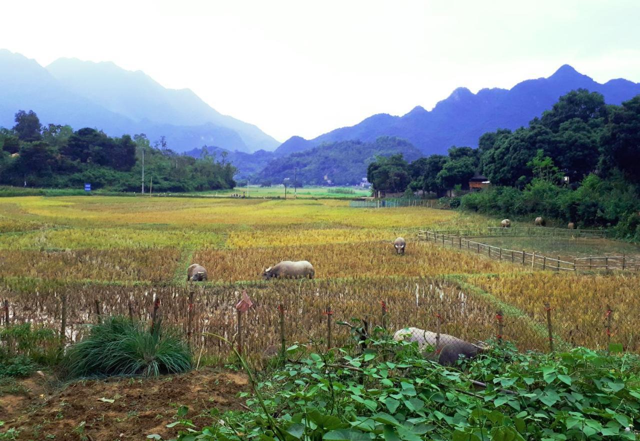 Meadow Mai Chau Homestay Экстерьер фото