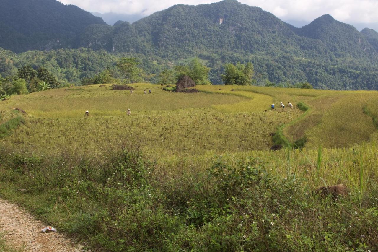 Meadow Mai Chau Homestay Экстерьер фото