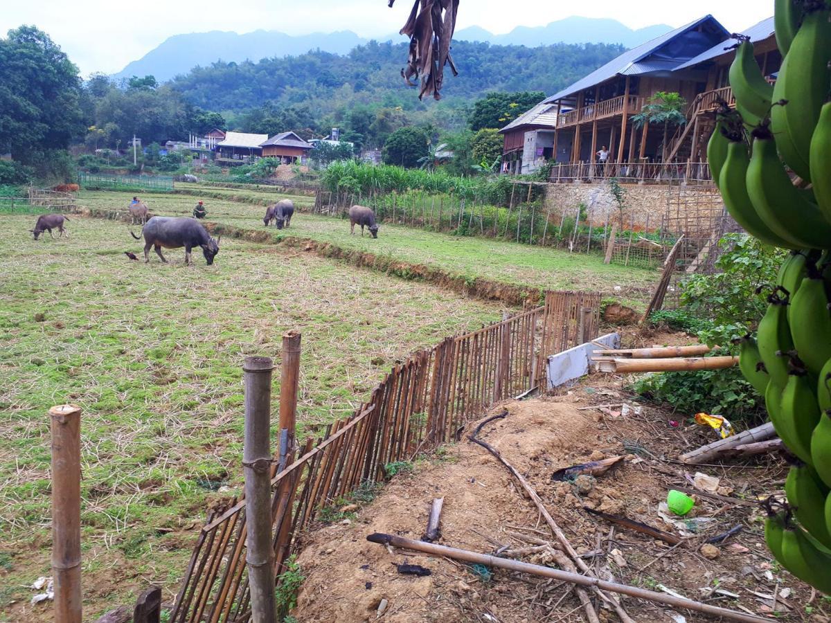 Meadow Mai Chau Homestay Экстерьер фото